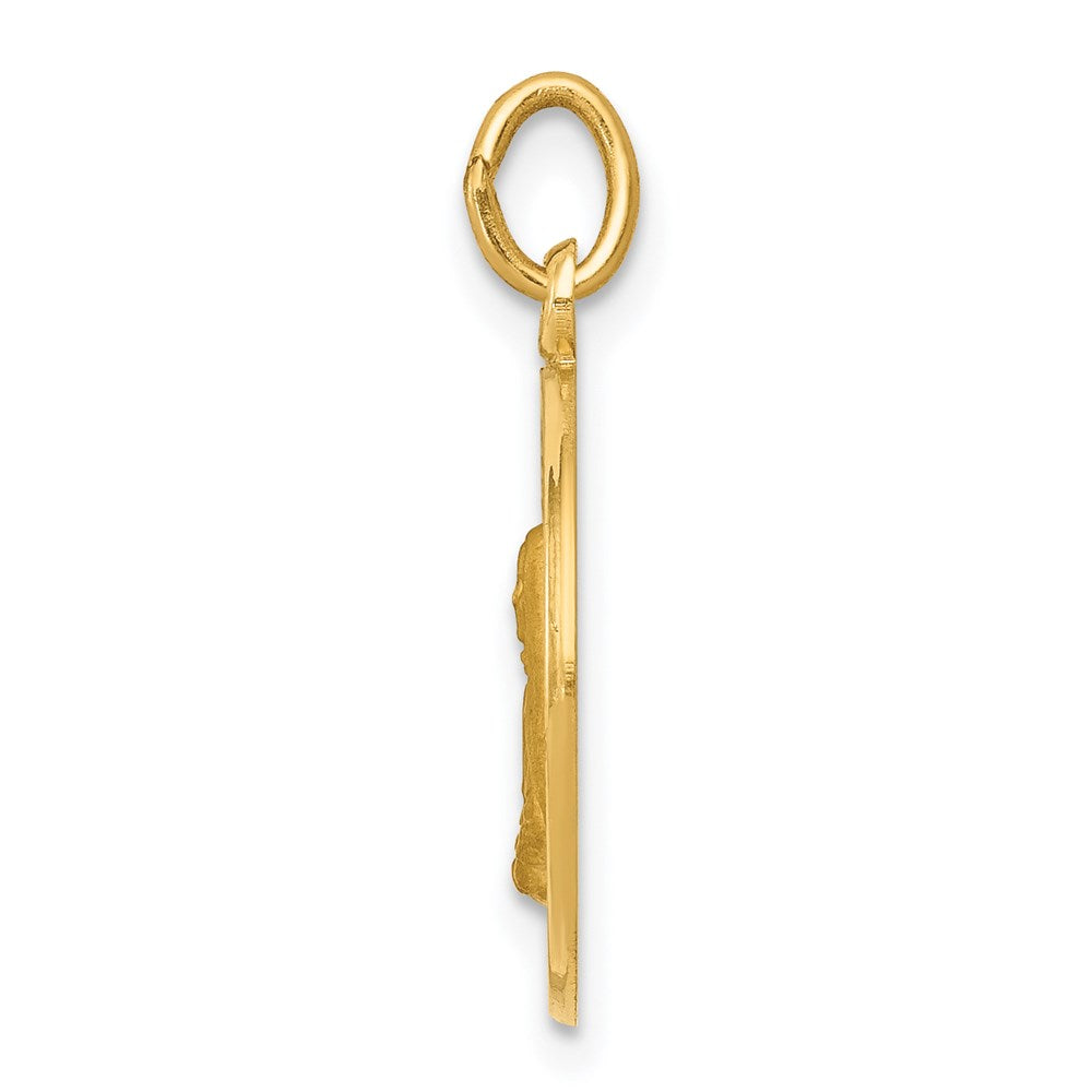 14k Yellow Gold Mother Cabrini Medal Charm