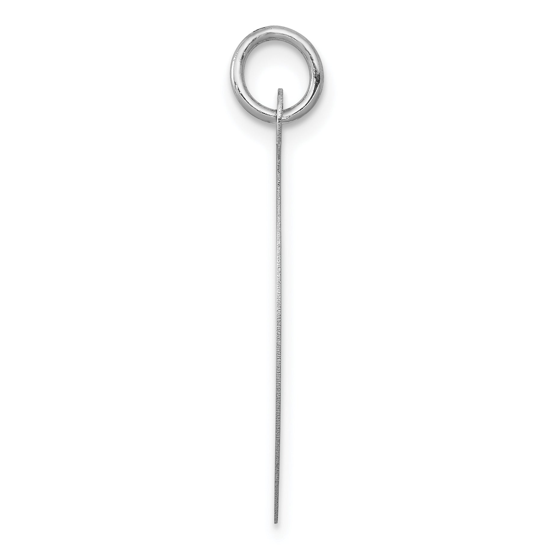14k White Gold Round Disc Charm