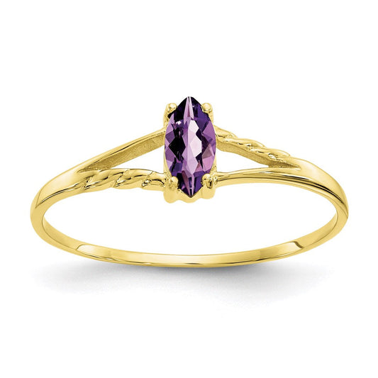 10K Yellow Gold Polished Geniune Amethyst Birthstone Ring