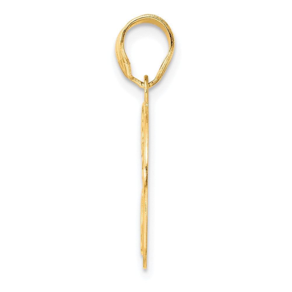 14k Yellow Gold Polished Etched Number 30 Pendant