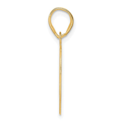 14k Yellow Gold Polished Etched Number 49 Pendant
