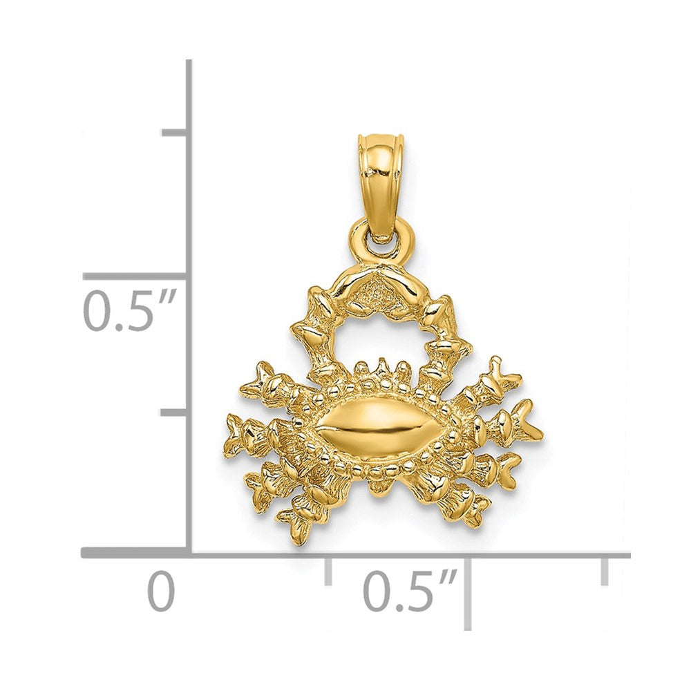 14k Yellow Gold 3-D Cancer Zodiac Charm (C3146) – Goldia.com.au