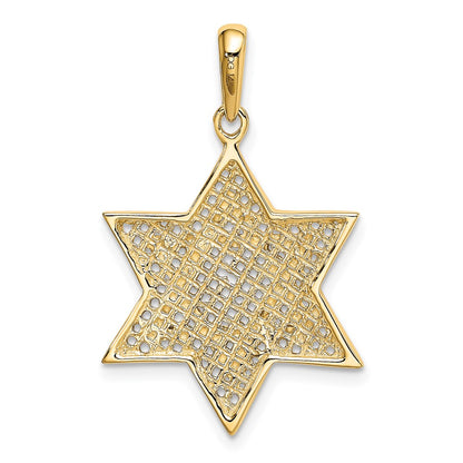 14k Yellow & Rhodium Gold w/Rhodium Solid Mesh Star Of David Charm ...