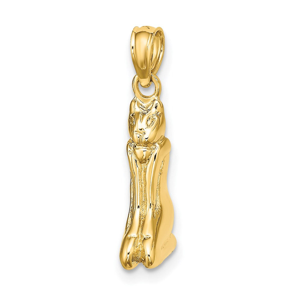14k Yellow Gold 3D Polished MARCO ISLAND Cat Charm