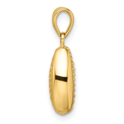 14k Yellow Gold Polished 3D Crowrie Shell Pendant