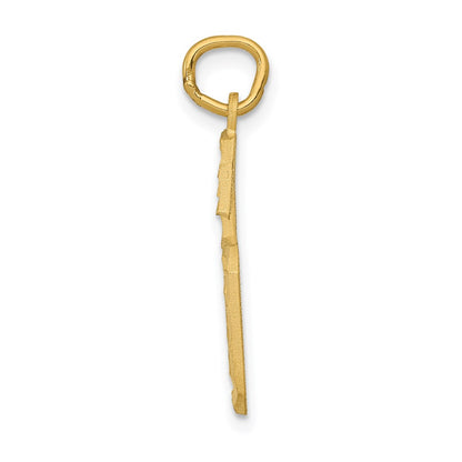 14k Yellow Gold Large Brushed Diamond-cut  Number 6 Charm