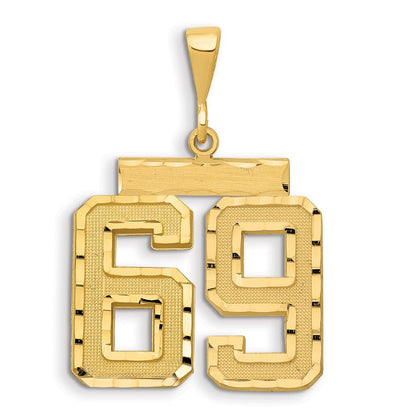 14k Yellow Gold Large Brushed Diamond-cut Number 69 Charm