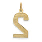 14k Yellow Gold  Large Polished Number 2 Charm