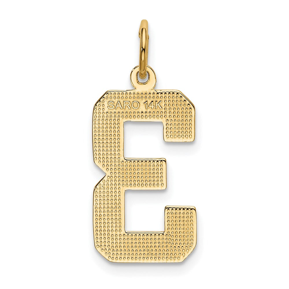 14k Yellow Gold Large Polished Number 3 Charm