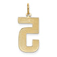 14k Yellow Gold  Large Polished Number 5 Charm