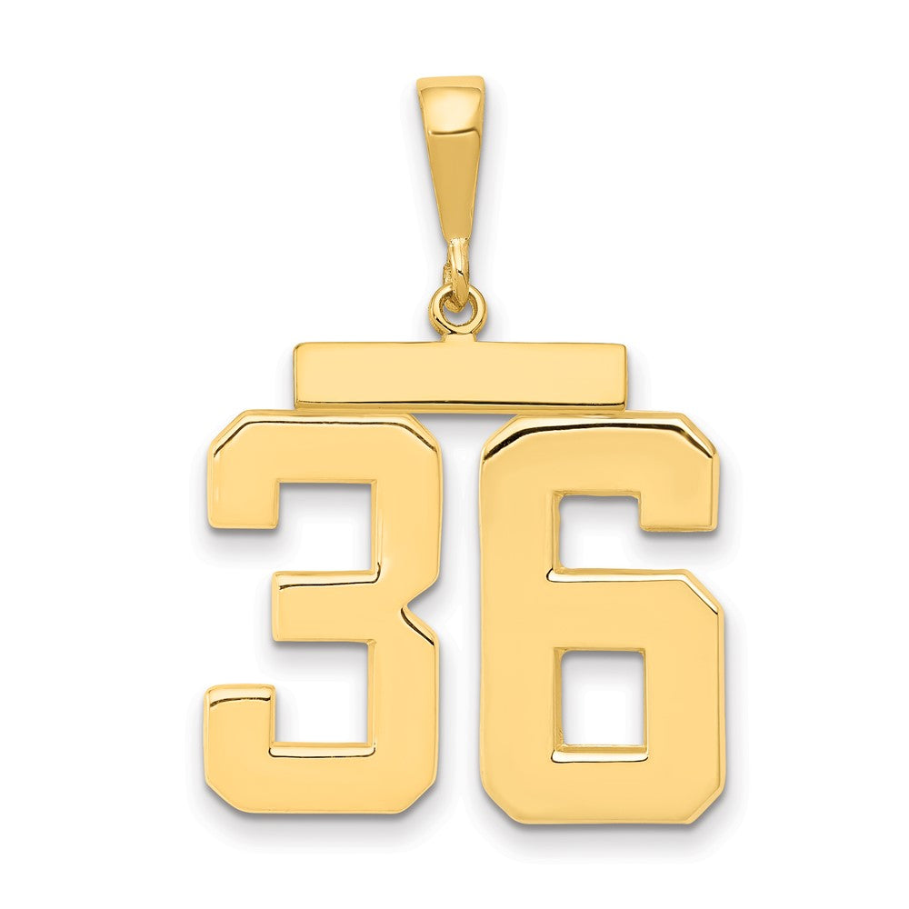 14k Yellow Gold Large Polished Number 36 Charm