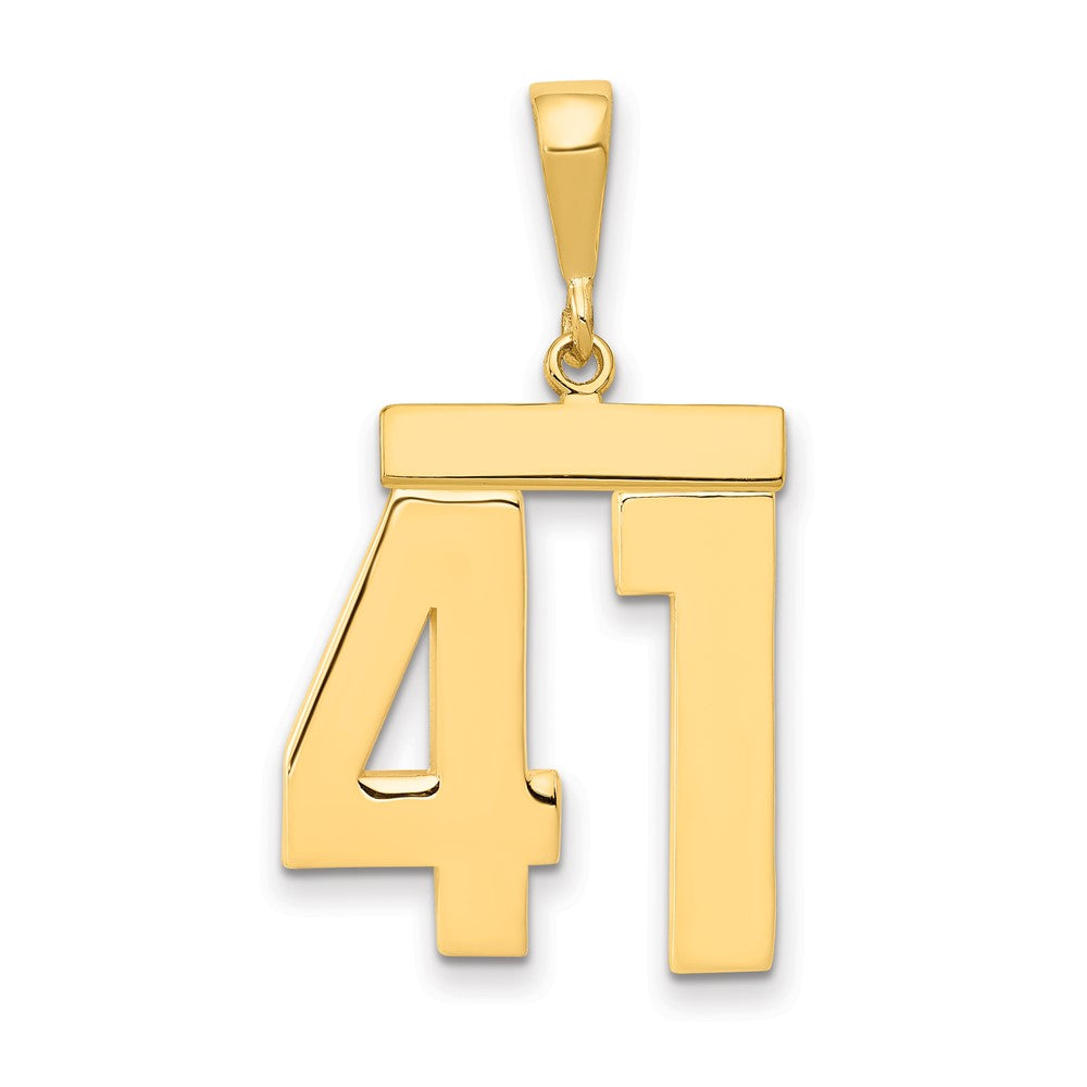14k Yellow Gold Large Polished Number 41 Charm