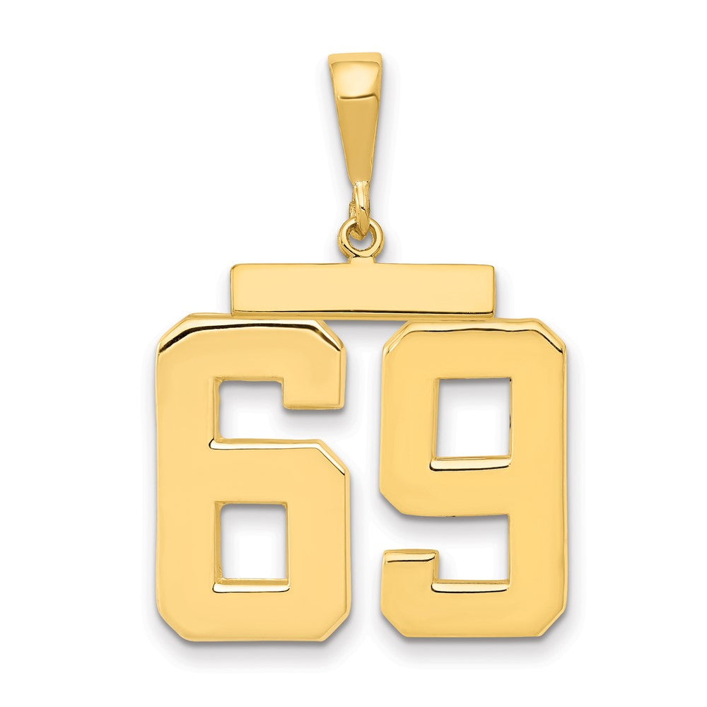14k Yellow Gold Large Polished Number 69 Charm