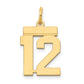 14k Yellow Gold Small Polished Number 12 Charm