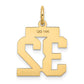 14k Yellow Gold Small Polished Number 32 Charm