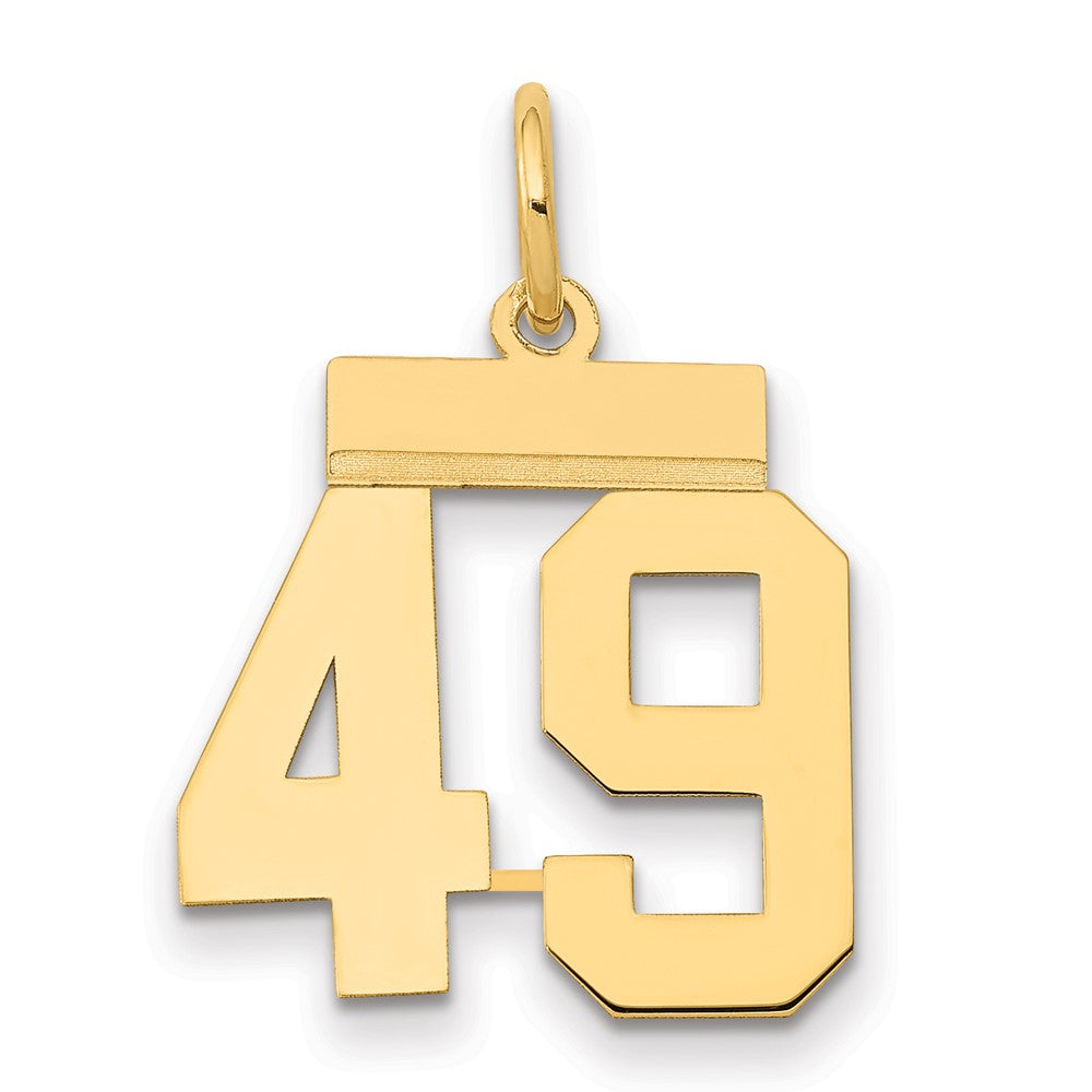 14k Yellow Gold Small Polished Number 49 Charm