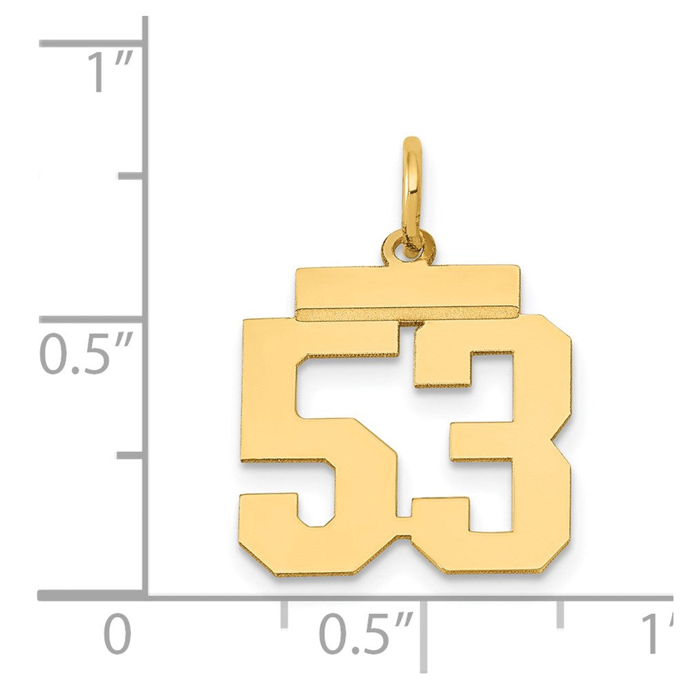 14k Yellow Gold Small Polished Number 53 Charm