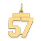 14k Yellow Gold Small Polished Number 57 Charm