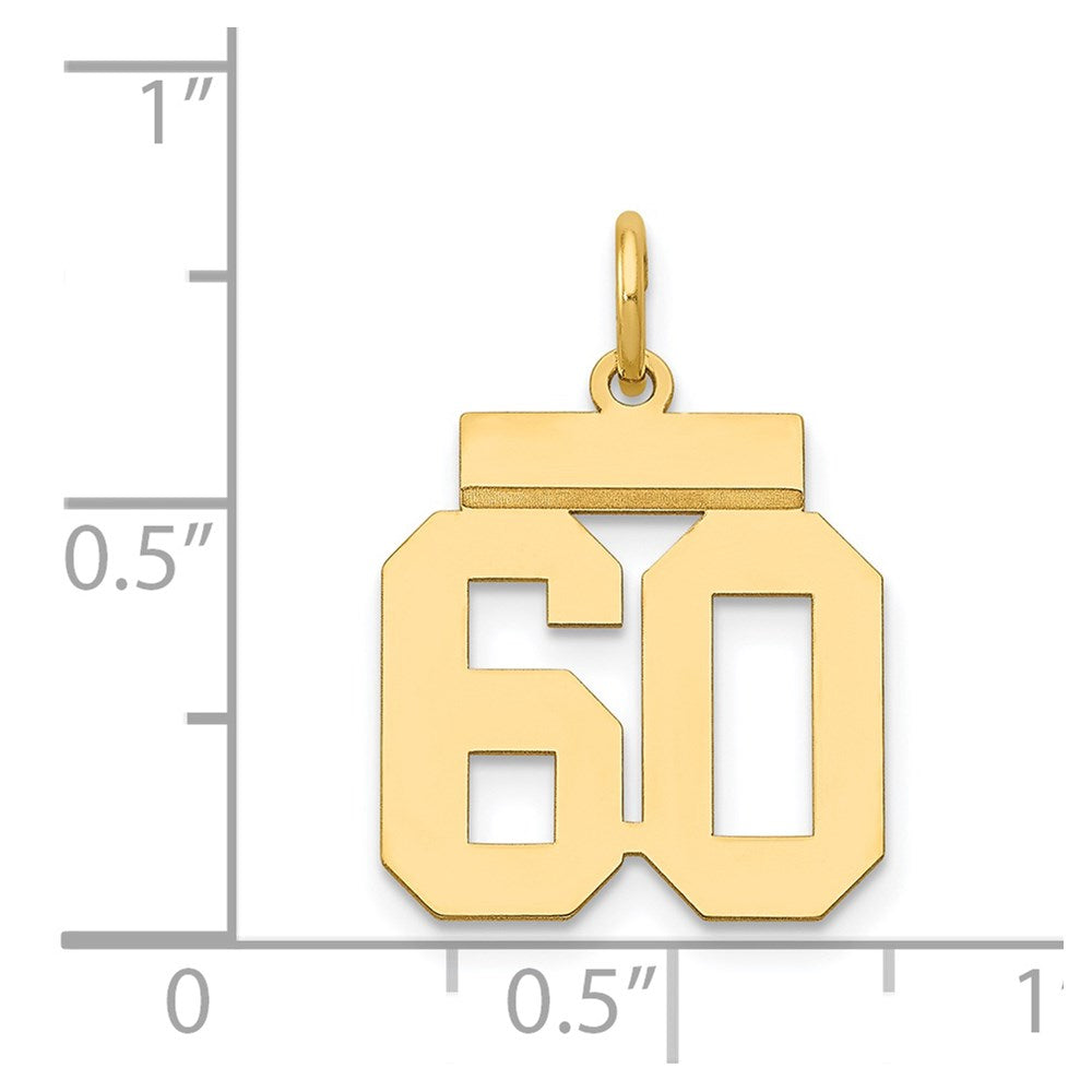 14k Yellow Gold Small Polished Number 60 Charm