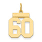 14k Yellow Gold Small Polished Number 60 Charm