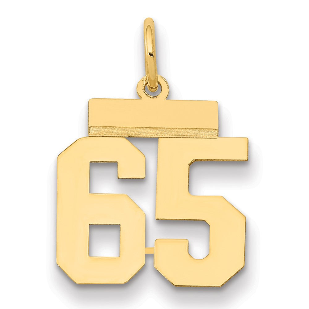14k Yellow Gold Small Polished Number 65 Charm