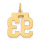 14k Yellow Gold Small Polished Number 93 Charm