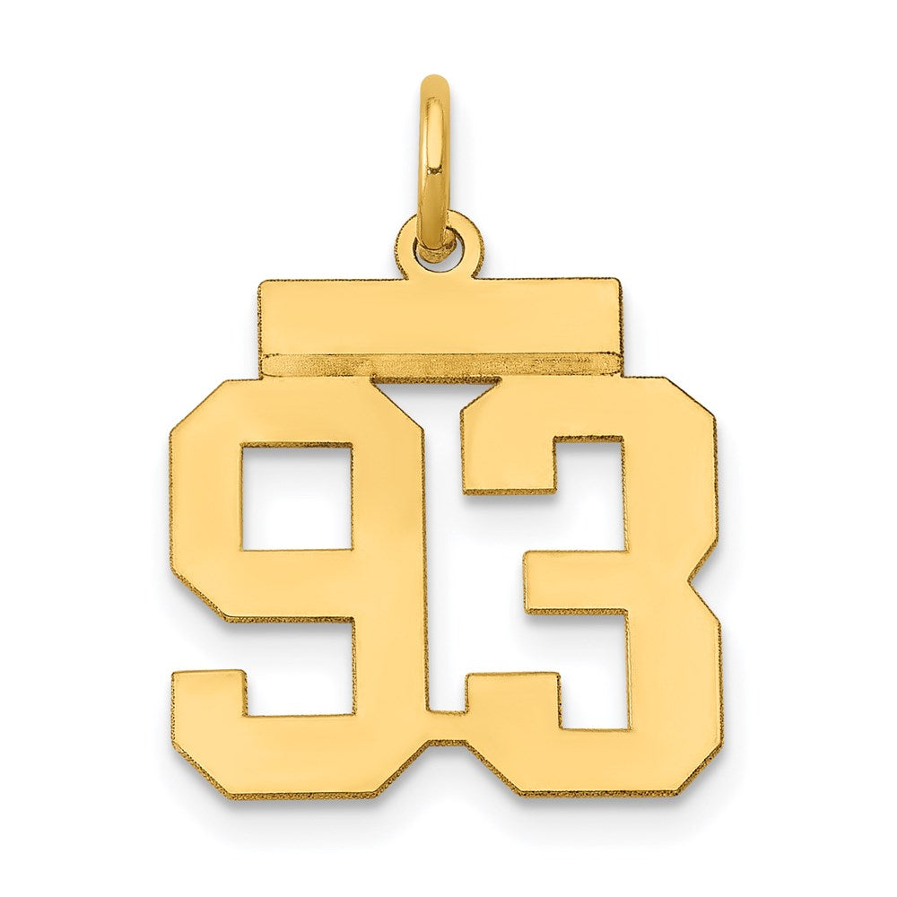 14k Yellow Gold Small Polished Number 93 Charm