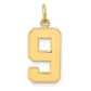 14k Yellow Gold Medium Polished Number 9 Charm