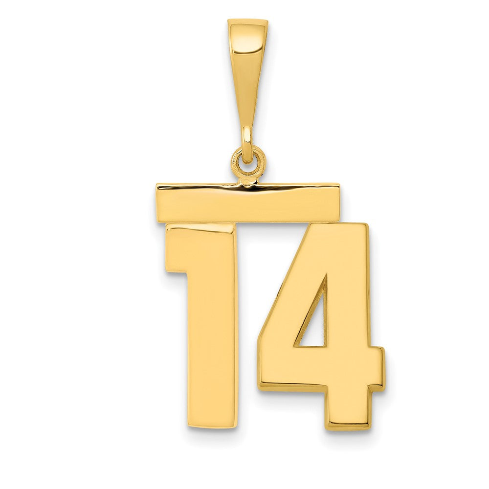14k Yellow Gold Medium Polished Number 14 Charm