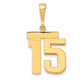 14k Yellow Gold Medium Polished Number 15 Charm