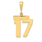 14k Yellow Gold Medium Polished Number 17 Charm