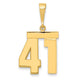 14k Yellow Gold Medium Polished Number 41 Charm