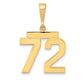14k Yellow Gold Medium Polished Number 72 Charm