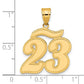 14k Yellow Gold Brushed Border Script Number 23 Pendant