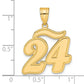 14k Yellow Gold Brushed Border Script Number 24 Pendant