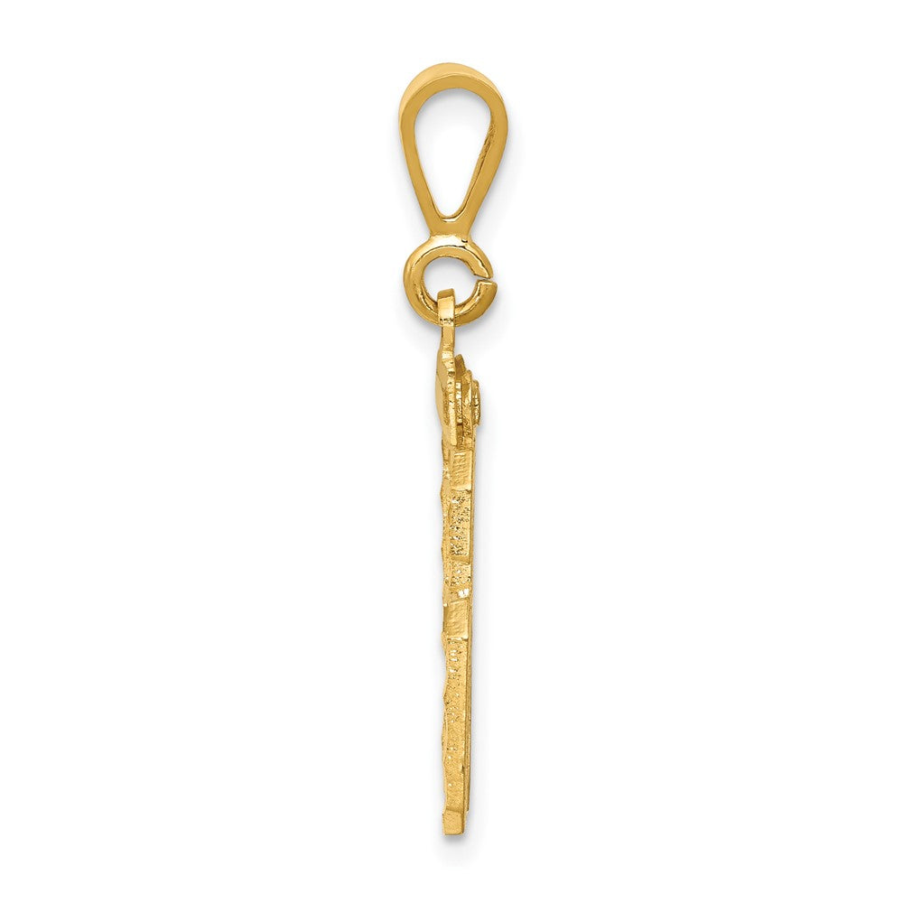 14k Yellow Gold Small Brushed Diamond-cut Number 96 Charm
