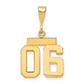 14k Yellow Gold Small Polished Number 06 on Top Charm