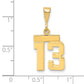 14k Yellow Gold Small Polished Number 13 Charm