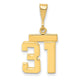 14k Yellow Gold Small Polished Number 31 Charm