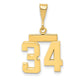 14k Yellow Gold Small Polished Number 34 Charm