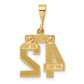 14k Yellow Gold Small Polished Number 42 Charm