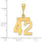 14k Yellow Gold Small Polished Number 42 Charm