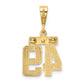 14k Yellow Gold Small Polished Number 49 Charm