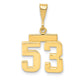 14k Yellow Gold Small Polished Number 53 Charm
