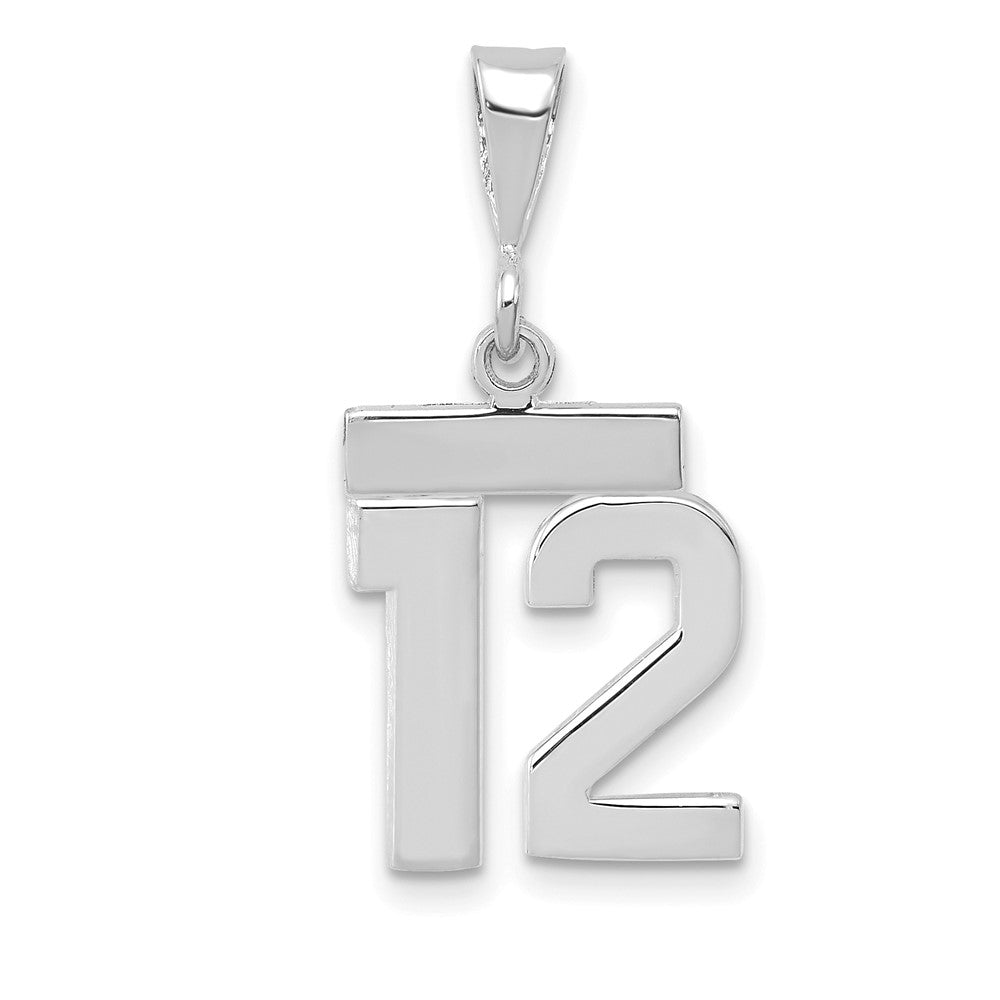 14k White Goldw Small Polished Number 12 Charm