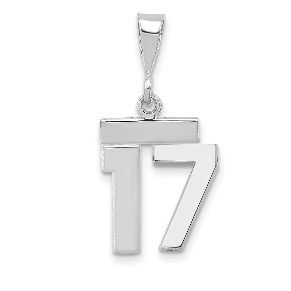 14k White Goldw Small Polished Number 17 Charm