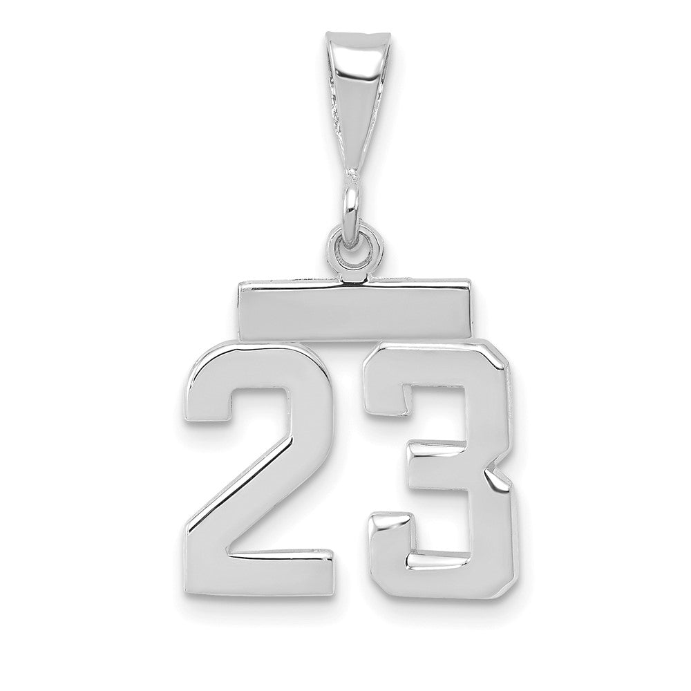 14k White Goldw Small Polished Number 23 Charm
