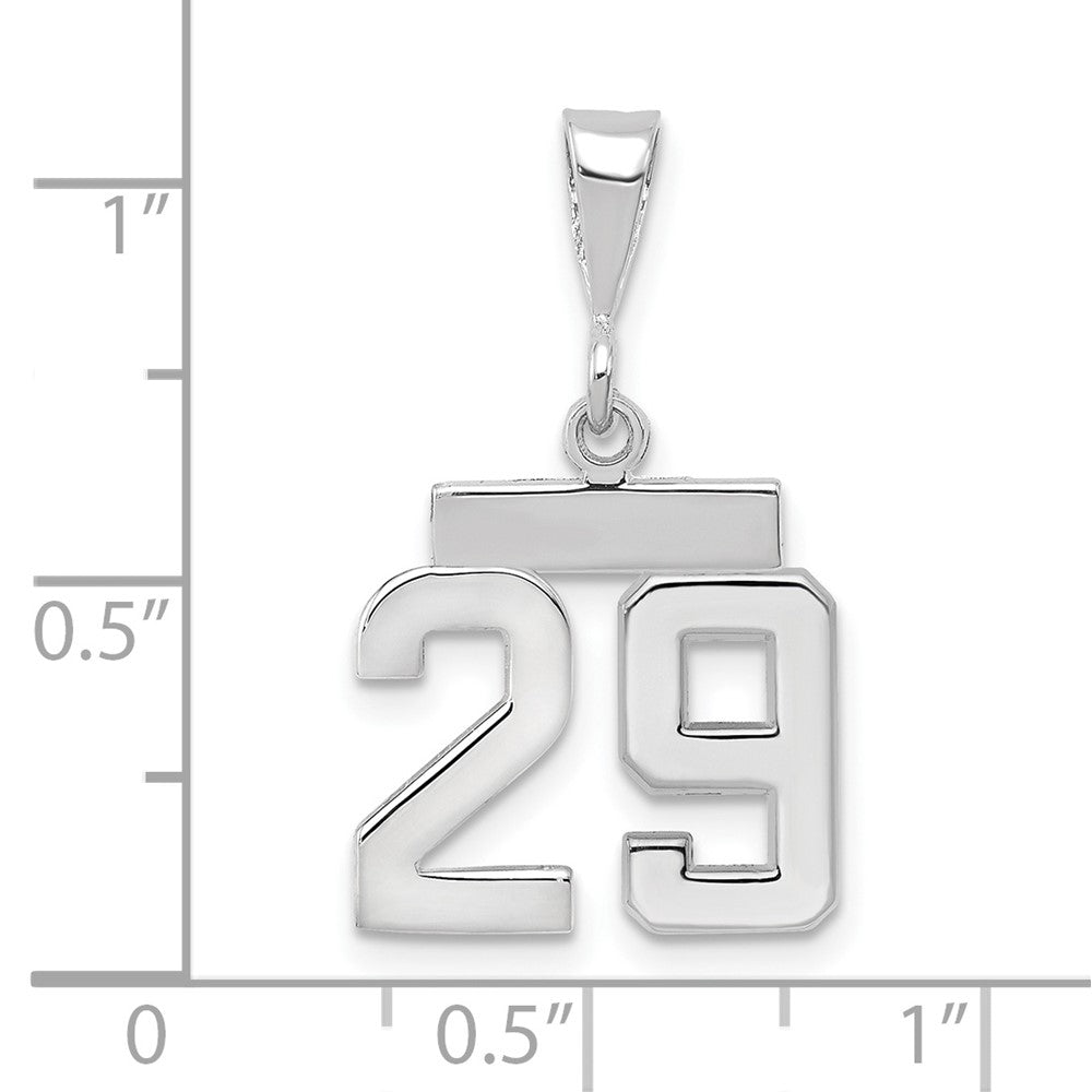 14k White Goldw Small Polished Number 29 Charm