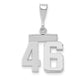 14k White Goldw Small Polished Number 46 Charm