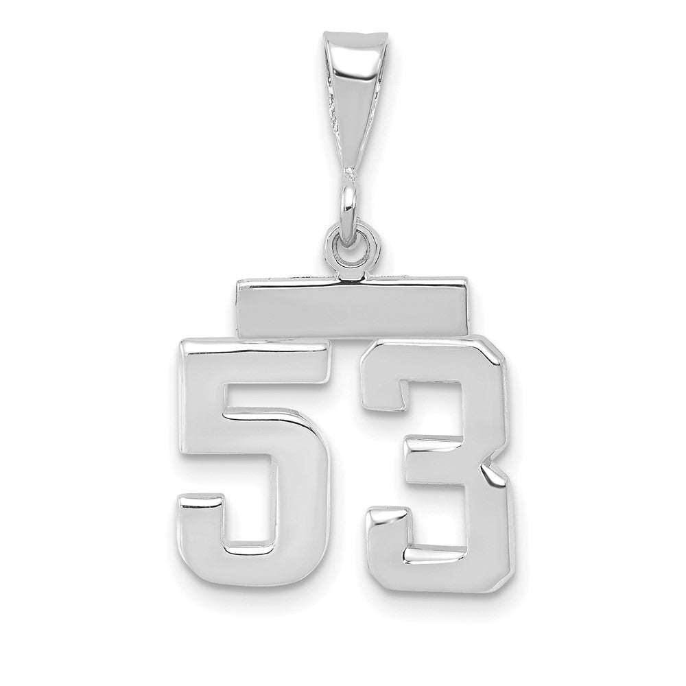 14k White Goldw Small Polished Number 53 Charm